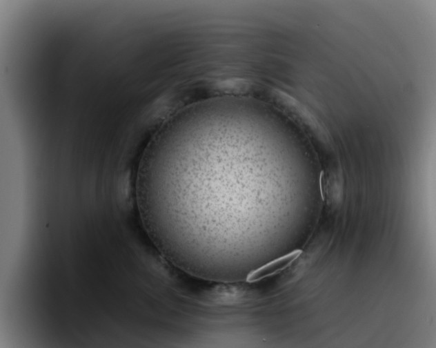 X0000094910764200712061048