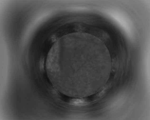 X0000094910765200712061048