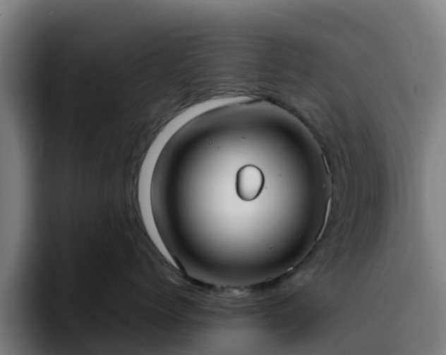 X0000094910768200712061049