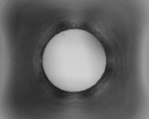 X0000094910769200712061048