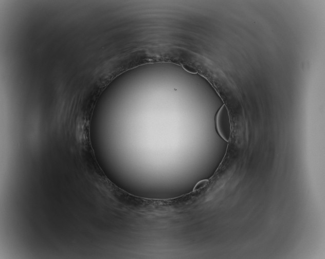 X0000094910770200712061048