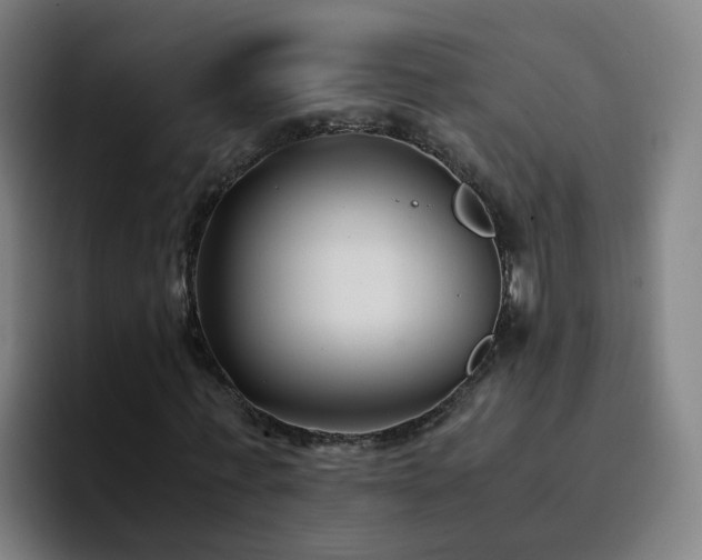 X0000094910771200712061048
