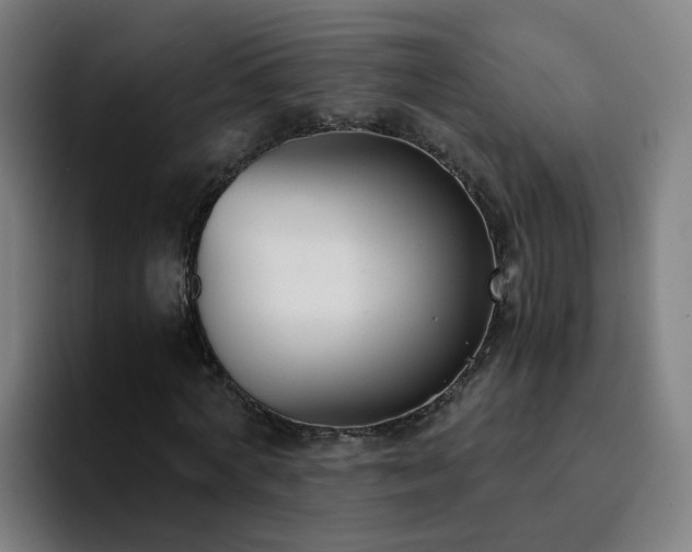 X0000094910772200712061048