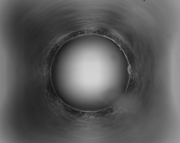 X0000094910773200712061048
