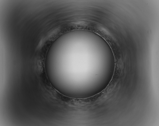 X0000094910774200712061048