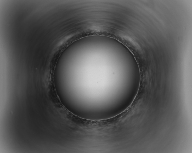 X0000094910776200712061048