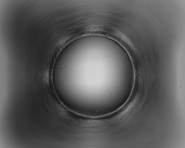 X0000094910777200712061048