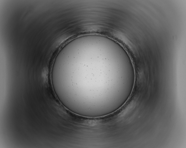 X0000094910778200712061048