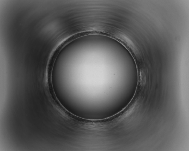 X0000094910780200712061048