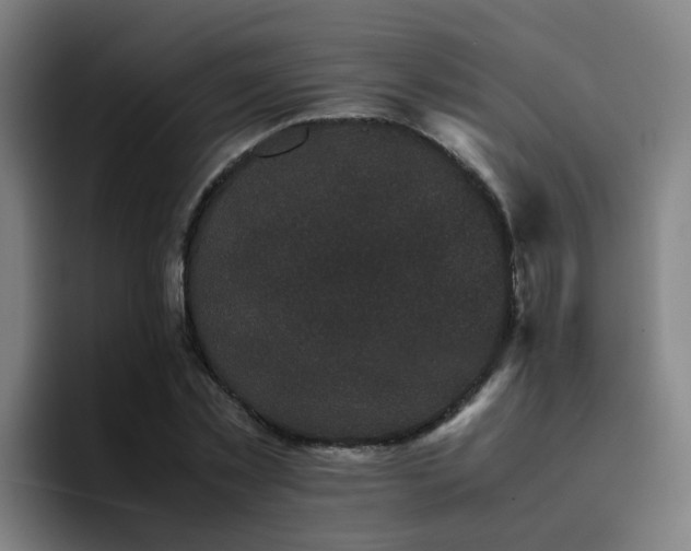 X0000094910781200712061048