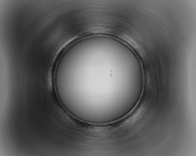 X0000094910782200712061048