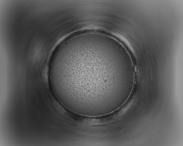 X0000094910783200712061048