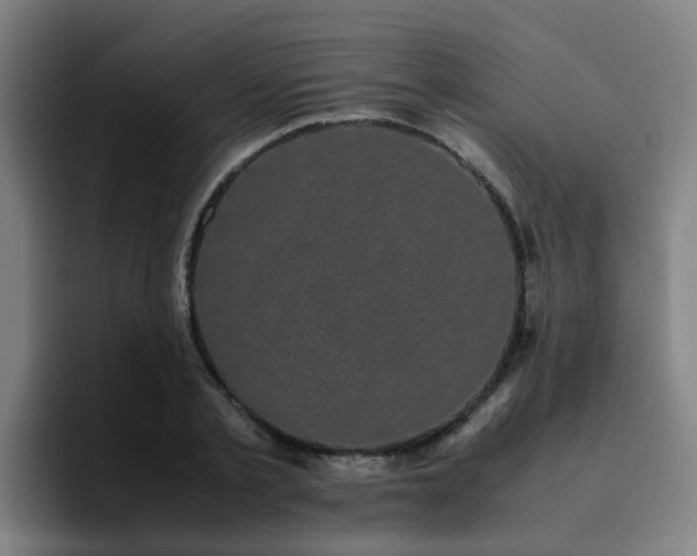 X0000094910789200712061048