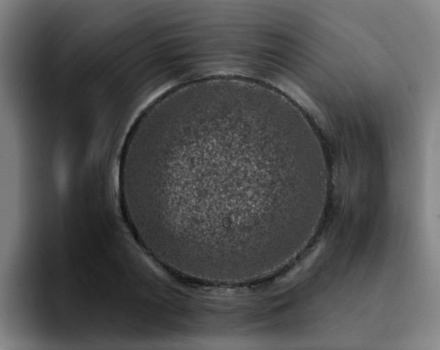 X0000094910790200712061048