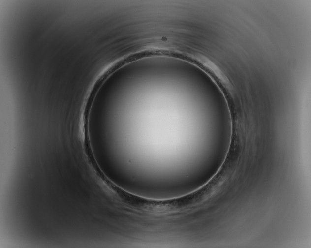 X0000094910791200712061048