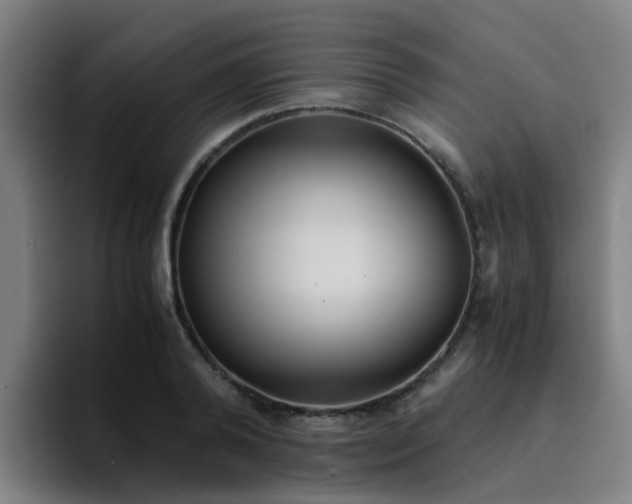 X0000094910792200712061048