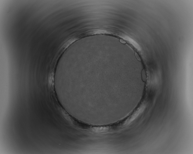 X0000094910793200712061048