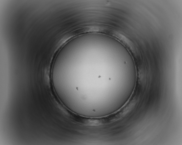 X0000094910794200712061048