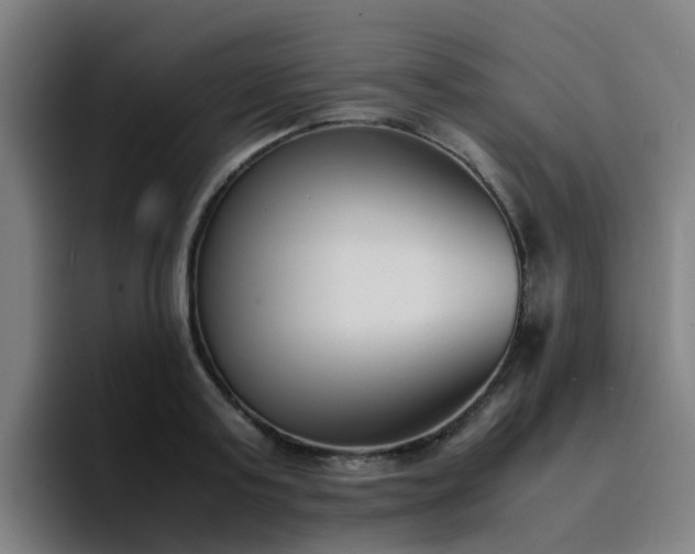 X0000094910795200712061048