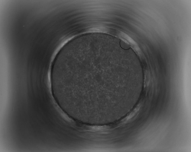 X0000094910796200712061048