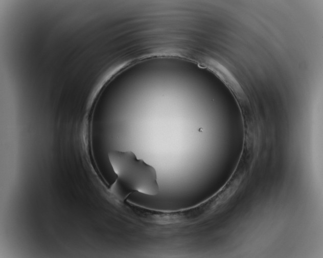 X0000094910804200712061047