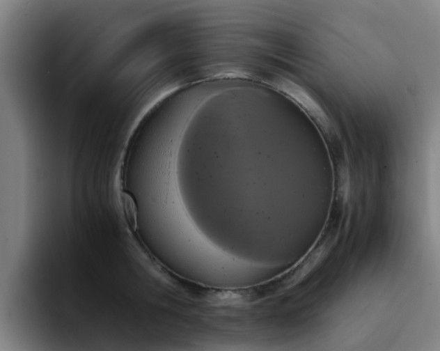 X0000094910806200712061047