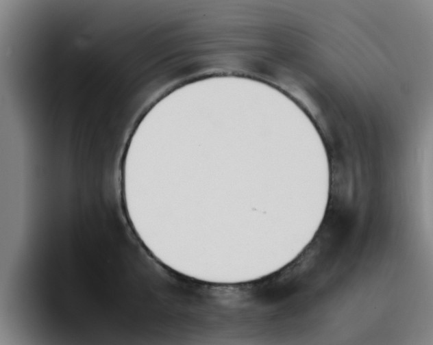 X0000094910807200712061047