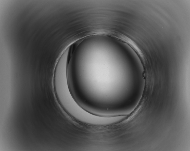 X0000094910810200712061047