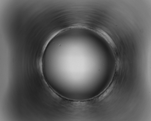 X0000094910812200712061047
