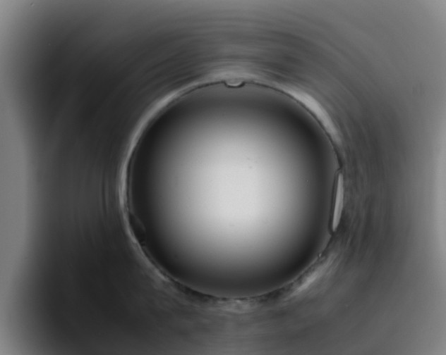 X0000094910815200712061047
