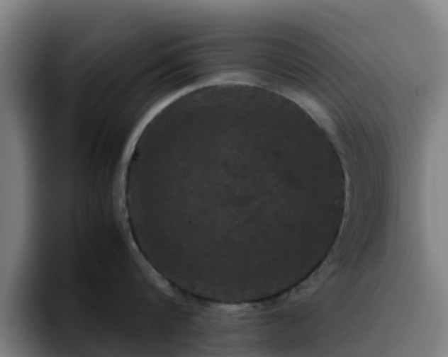 X0000094910816200712061047