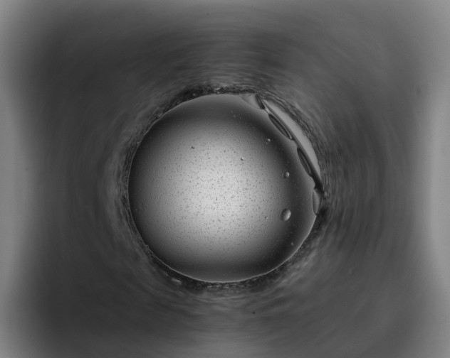X0000094910817200712061047