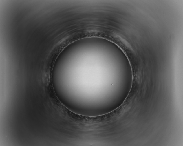 X0000094910821200712061047