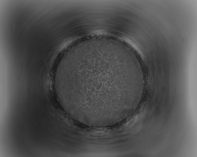 X0000094910823200712061047