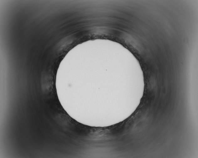 X0000094910824200712061047