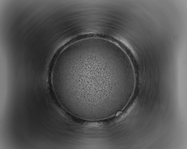 X0000094910826200712061047