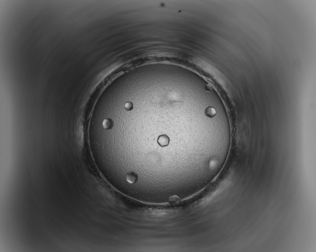 X0000094910829200712061047
