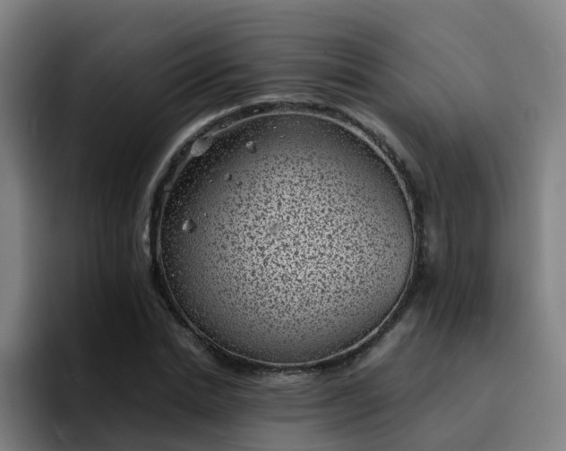 X0000094910830200712061047