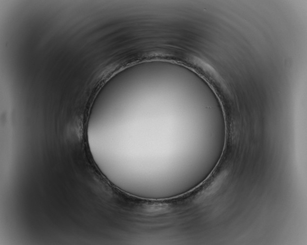 X0000094910833200712061047