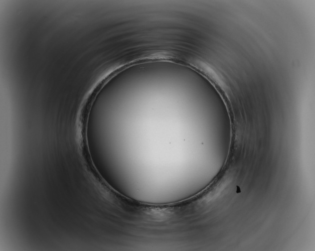X0000094910835200712061047