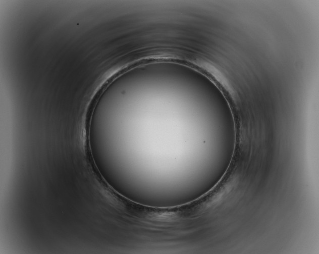 X0000094910837200712061047