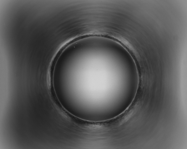 X0000094910838200712061047