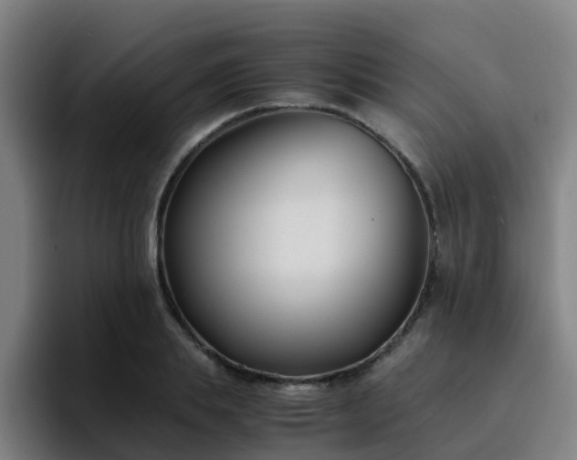 X0000094910839200712061047