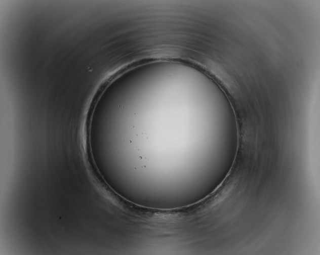 X0000094910840200712061047