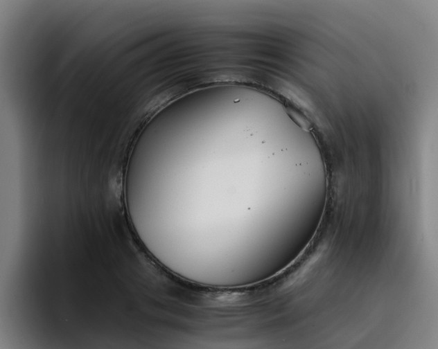 X0000094910841200712061047