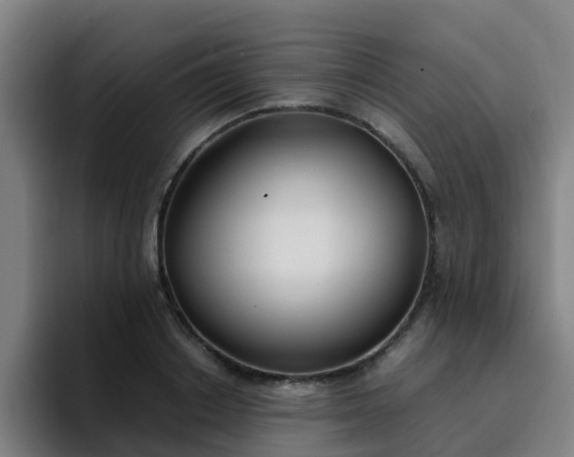 X0000094910842200712061047