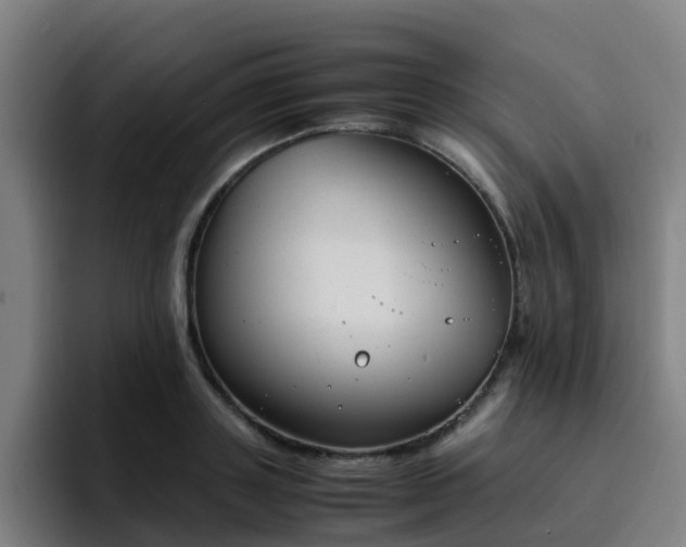 X0000094910843200712061047