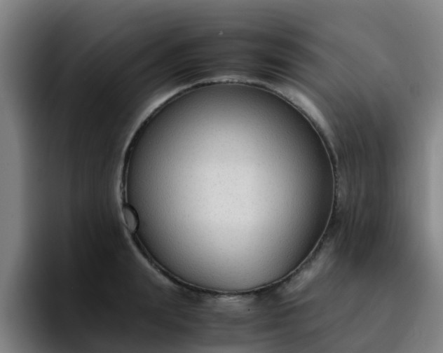 X0000094910847200712061047