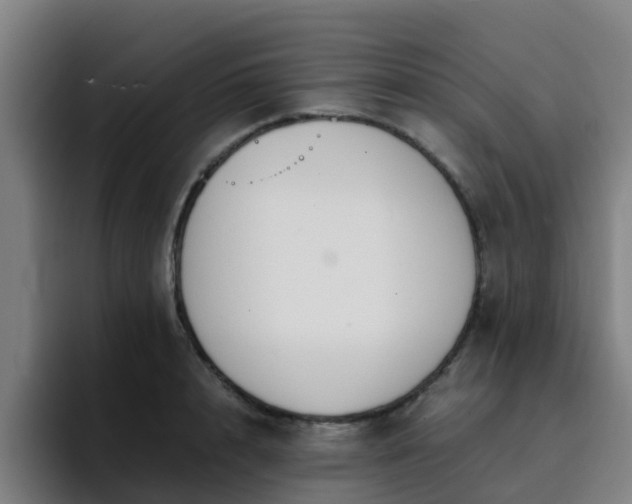 X0000094910848200712061047
