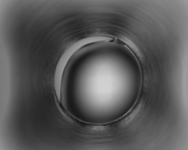 X0000094910849200712061047